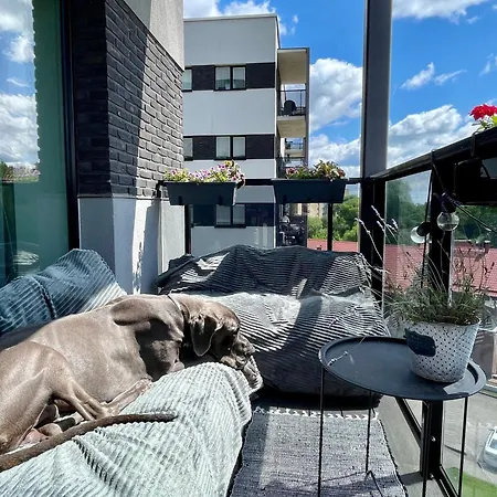 Lägenhet Cashmere In Zaliakalnis Kaunas