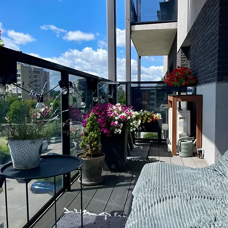 Cashmere In Zaliakalnis *