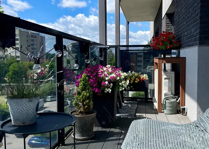 Cashmere In Zaliakalnis *